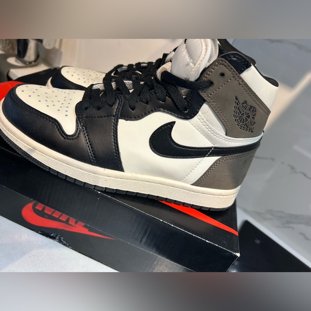 Nike 10 Air Jordan 1 Retro High